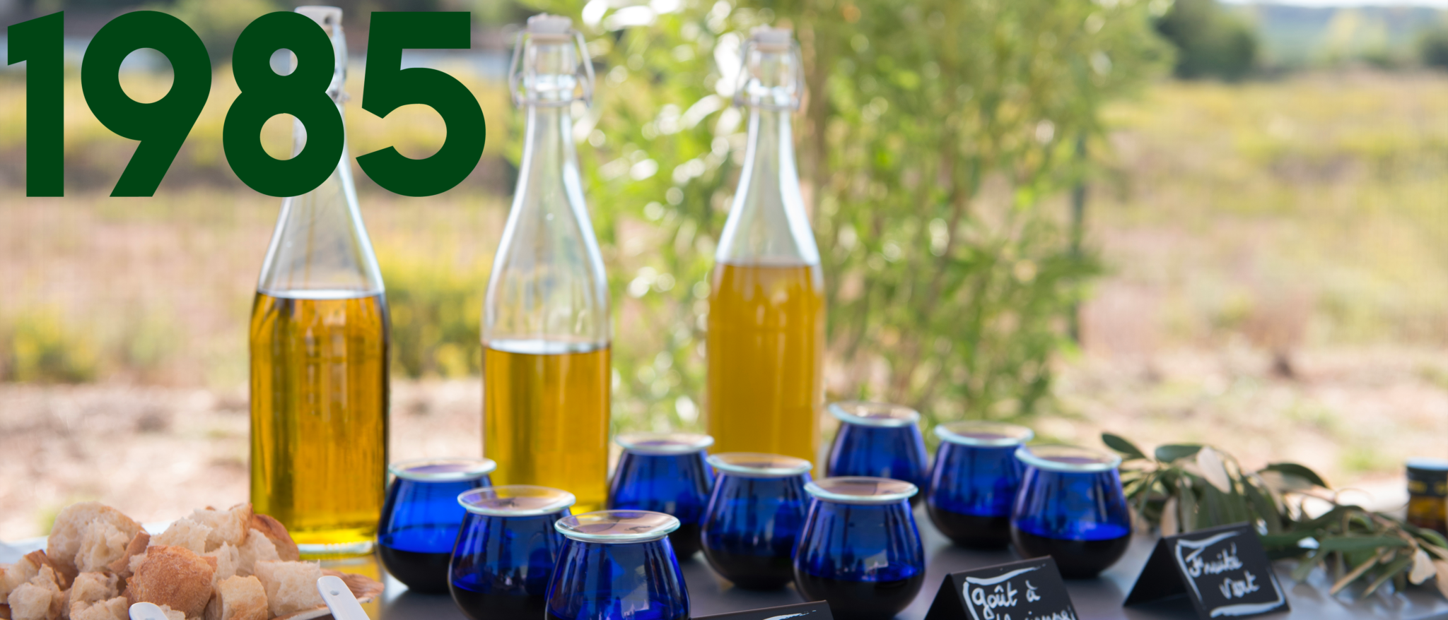 Notre histoire - Huile Cauvin